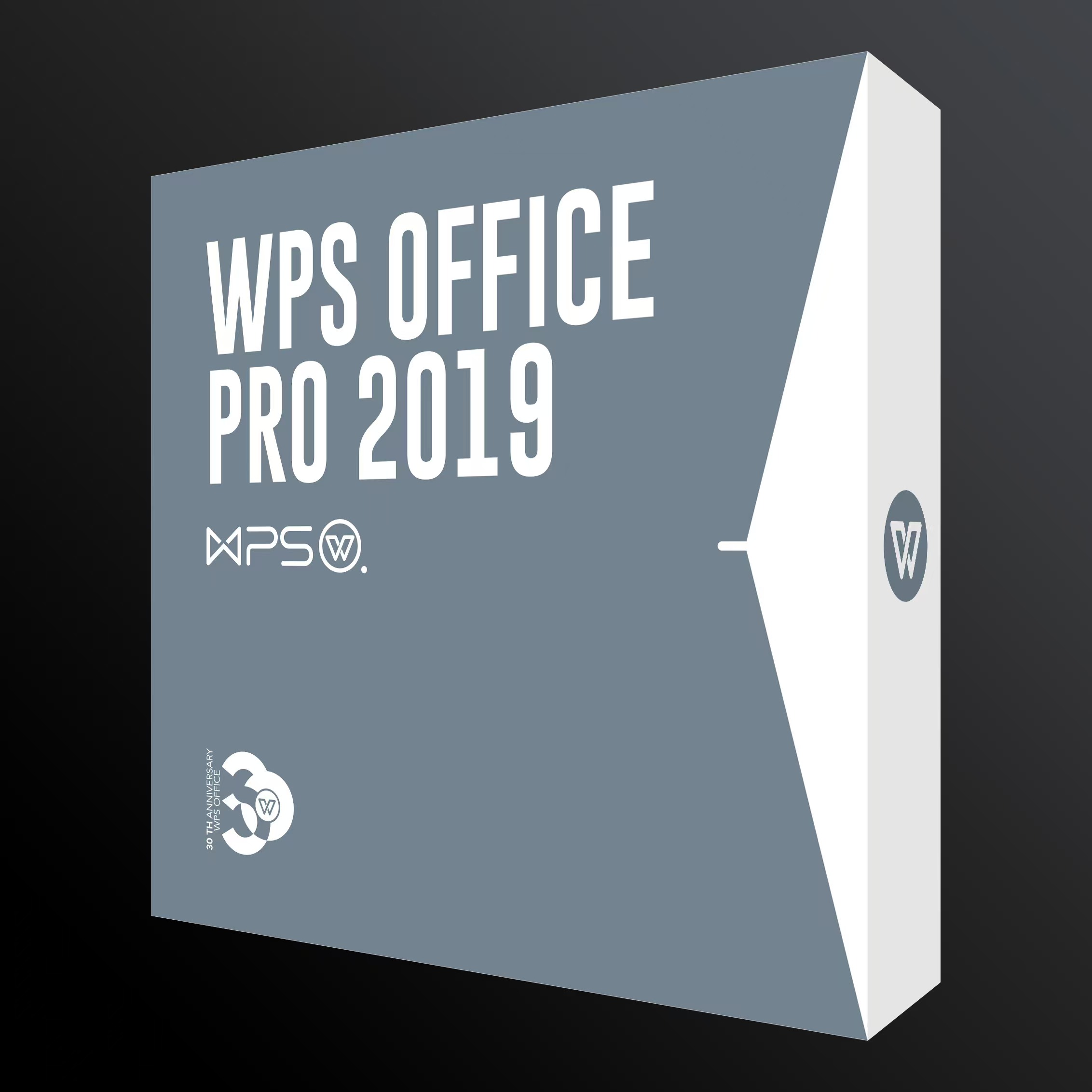 WPS WPS Office 2019 专业版